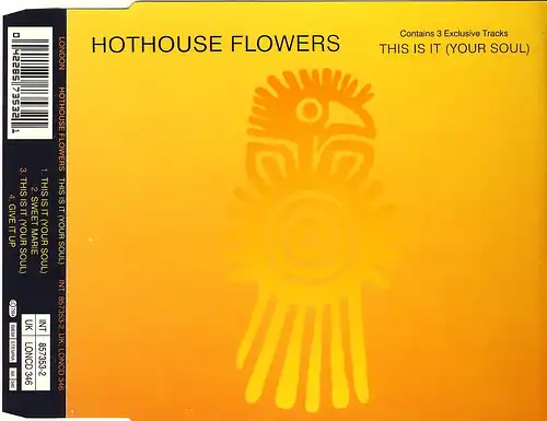 Hothouse Flowers - This Is (Your Soul) [CD-Single]