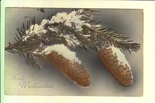 WEIHNACHTEN - Tannenzapfen, Schnee, 1912