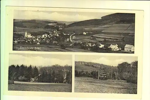 5524 KYLLBURG - STEINBORN, Mehrbildkarte