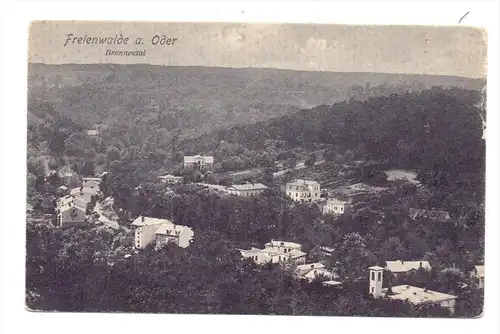 0-1310 BAD FREIENWALDE, Brunnental, 1905, Trenkler, kl. Randmängel