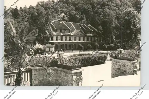 0-4300 QUEDLINBURG - GERNRODE, Photo-AK Foto Doehring