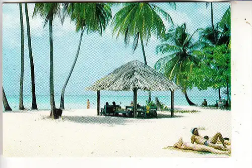 TOBAGO, Pigeon Point Beach, Robinson Crusoe's Island