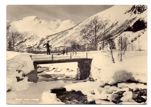 NORGE - Vinter i Norge, Pferdeschlitten