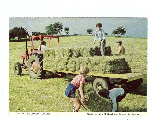 LANDWIRTSCHAFT - Traktor bei der Heuernte / Haymaking