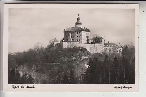 BÖHMEN & MÄHREN - FRYDLAND v CECHACH / FRIEDLAND/Isergebirge, Wallenstein - Schloß