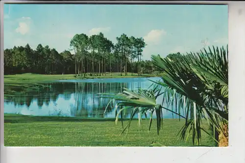 SPORT - GOLF - Palm Course, Disney World