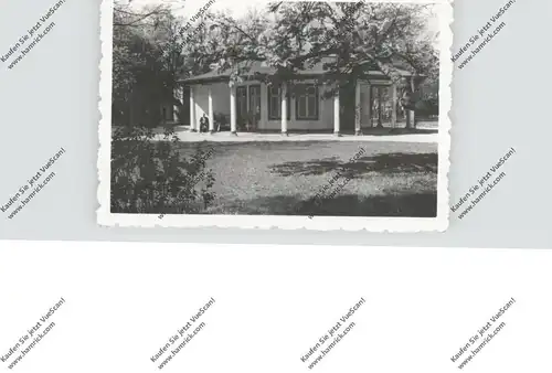 0-2560 BAD DOBERAN, Friedenstempel Am Kamp um Umgebung, 3 Kleinphotos 1963