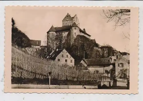 7758 MEERSBURG, Schloß und Umgebung, Weinbau, Verlag Pichlmayr