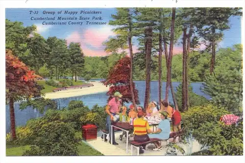 USA - TENNESSEE - CUMBERLAND COUNTRY, Picnickers, Picknick