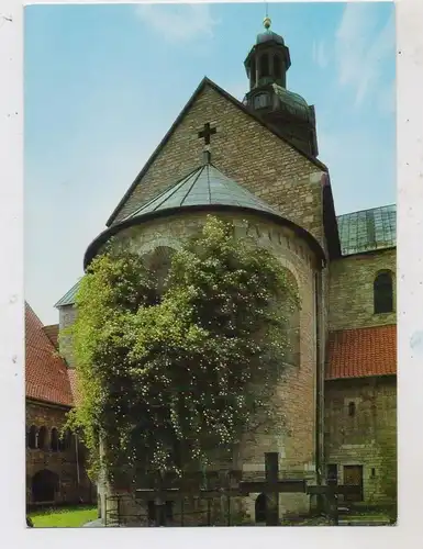 3200 HILDESHEIM, Dom, 1000 jähriger Rosenstock, 1906, Verlag Zieher