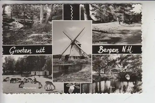 MÜHLE - Molen - mill, Windmühle BERGEN