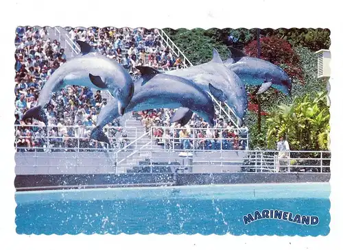 TIERE - DELFIN / DELPHIN / DOLPHIN / DAUPHIN - MARINELAND