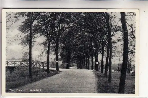 NL - FRIESLAND - GAASTERLAN-BALK, Weg Balk-Kippenburg