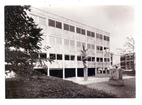 5300 BONN, Rheinisches Landesmuseum, Neubau 1967