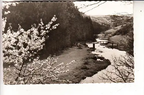 5108 MONSCHAU, Rurpartie, 1957