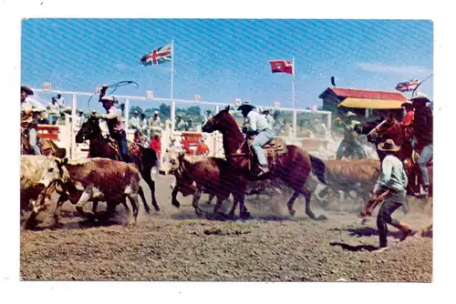 CANADA - ALBERTA - CALGARY, Calgary Stampede