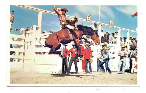 CANADA - ALBERTA - CALGARY, Calgary Stampede