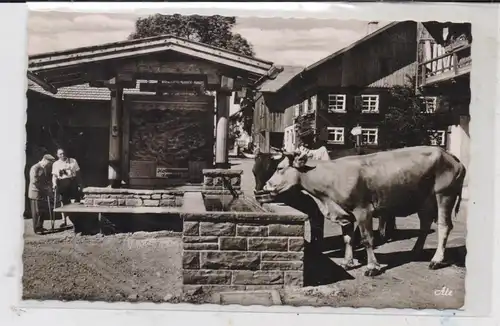 8967 OY - MITTELBERG, Am Dorfbrunnen, Kühe, 196...