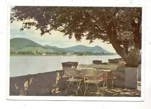 5300 BONN - BAD GODESBERG, Hotel Schaumburger Hof, Baumhochsitz und Rheinterrasse, 1952