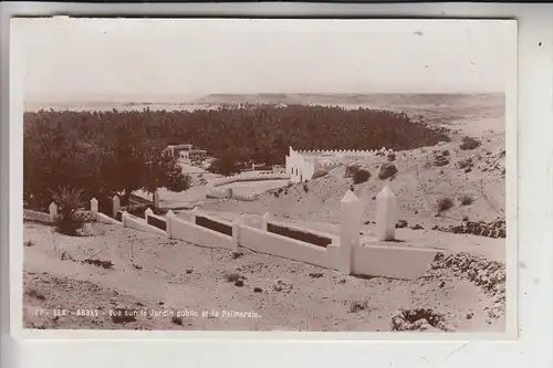 ALGERIEN - BENI ABBES, Jardin public, Palmeraie