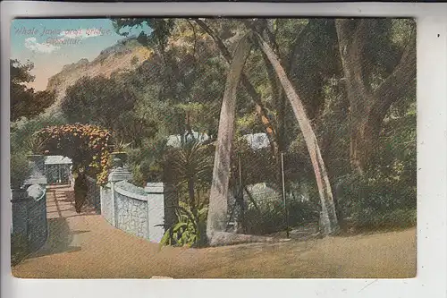 GIBRALTAR, Whale jaws arch bridge, Walknochen