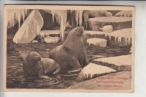 2000 HAMBURG - STELLINGEN, Hagenbeck's Tierpark, Zoo, 1911, Walrosse/Walruses/Morses/Morsas