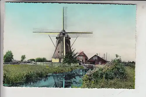 MÜHLE - WINDMÜHLE / Molen / Mill / Moulin - NAARDERMEER / NL