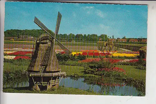 MÜHLE - WINDMÜHLE / Molen / Mill / Moulin - Bloemnvelden-NL