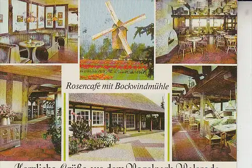 MÜHLE - WINDMÜHLE / Molen / Mill / Moulin - WALSRODE, Vogelpark