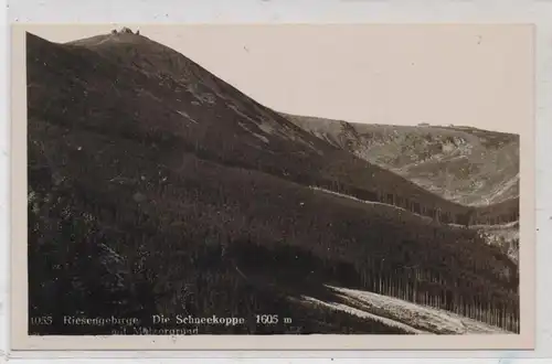 NIEDER-SCHLESIEN - SCHNEEKOPPE / SNEZKA, Melzergrund, 1935, Verlag Scholz - Görlitz