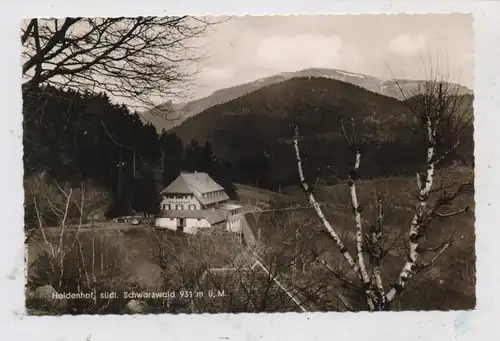 7881 NEUENWEG, Gasthaus und Pension Haldenhof, 50er Jahre