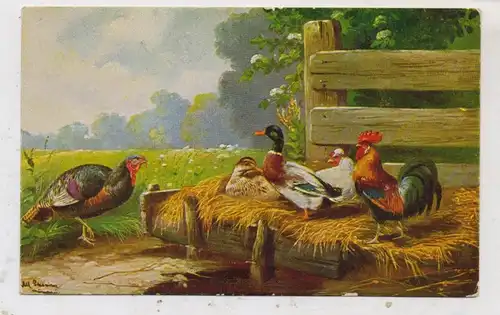 LANDWIRTSCHAFT - GEFLÜGEL / POULTRY, Hühner, Ente, Puter,, Künstler-Karte, Alfred Schönian