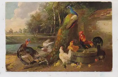 LANDWIRTSCHAFT - GEFLÜGEL / POULTRY, Hühner, Enten, Pfau, Puter, Künstler-Karte, Theo Stroefer