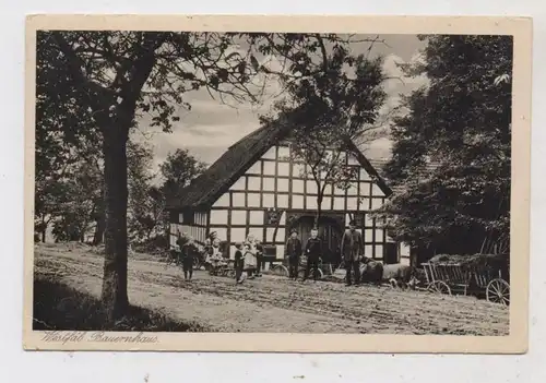 LANDWIRTSCHAFT - Westfälisches Bauernhaus, belebte Szene, kl. Druckstelle