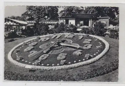 CH 1200 GENF - GENEVE GE, l'horloge fleurie / Blumenuhr /  Flower Clock