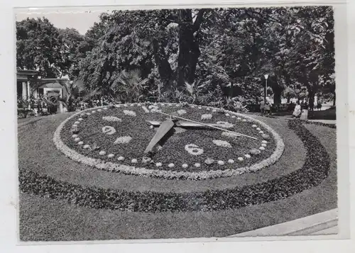 CH 1200 GENF - GENEVE GE, l'horloge fleurie / Blumenuhr /  Flower Clock