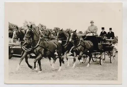 REITSPORT - Viererzug Stall Jansen, Fahrer Fritz Jansen, Schloß Bredeneek, Mitte 60er Jahre