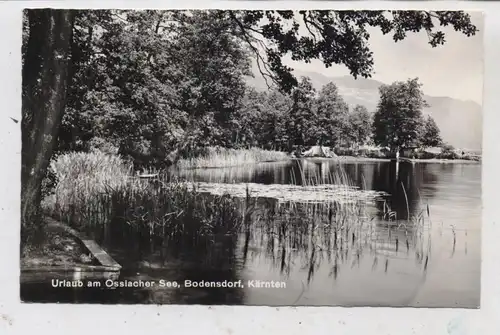 A 9561 STEINDORF - BODENSDORF, Zeltplatz am See