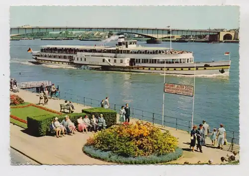 BINNENSCHIFFE - RHEIN, KÖLN - DÜSSELDORFER "CECILIE" vor Bonn,