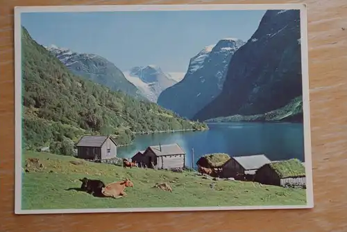 N 6782 STRYN, Loenvatnet, Nordfjord