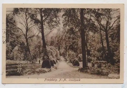 NEUMARK - FRIEDEBERG / STRZELCE - KRAJENSKIE, Stadtpark, 1926 post. gelaufen