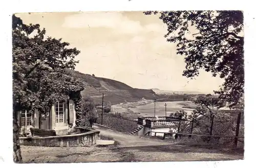 L 6700 GREVENMACHER, Blick auf Grevenmacher, Verlag Kraus