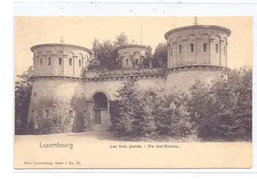 L 1000 LUXEMBURG Stadt, Die drei Eicheln, NELS, Serie 1, No. 63