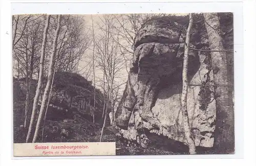 L 6400 ECHTERNACH, Luxemburger Schweiz, Partie an der Goldkaul, 1907, Bernhoeft-Lux.