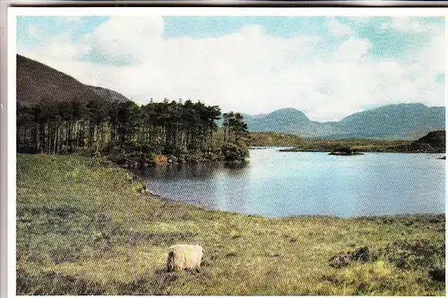 EIRE / IRLAND - GALWAY, Connemara, Derryclare Lake