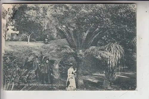 P 9500 PONTA DELGADA, Jardim do Antonio Borges, 1909