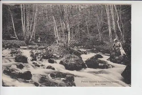 L 7680 MÜLLERTAL, kl. Lux.Schweiz, Ernz Noire 1920