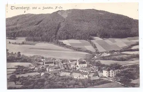 A 2831 SCHEIBLINGKIRCHEN - THERNBERG, Dorfansicht Thernberg, 1910