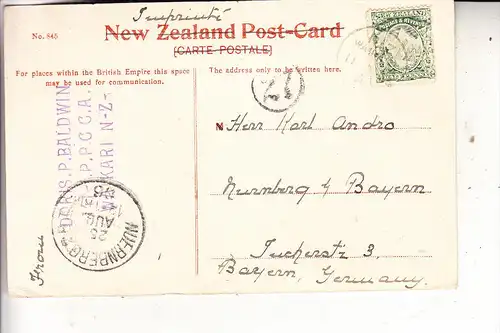 NEW ZEALAND, CHRISTCHURCH, Botanical Gardens, White Bridge, 1906