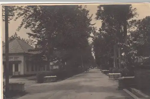 MAL - MALAYSIA, Photo in Ak-Grösse, Road at Melan